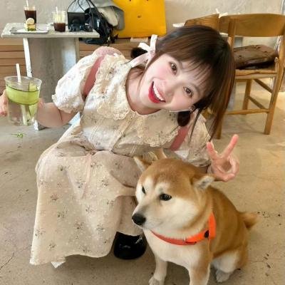 成年人的谎言生活